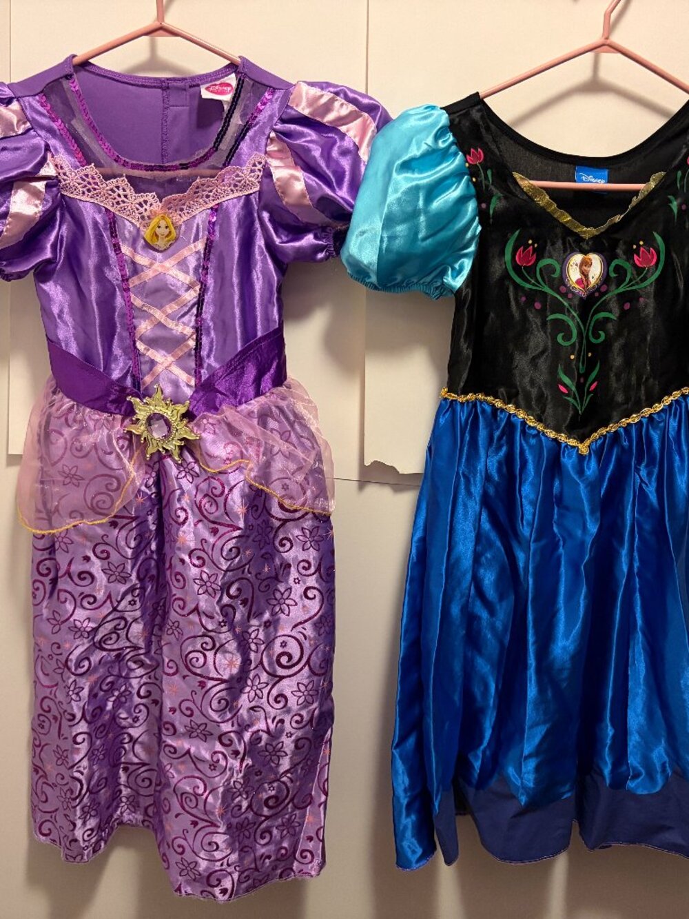 Disney Princess Costumes - Rapunzel and Anna - Two Costumes